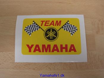 TEAM Yamaha