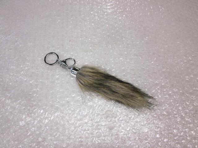 Rævehale "MINI" 10cm "Foxtail"