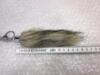 Rævehale "MINI" 10cm "Foxtail"